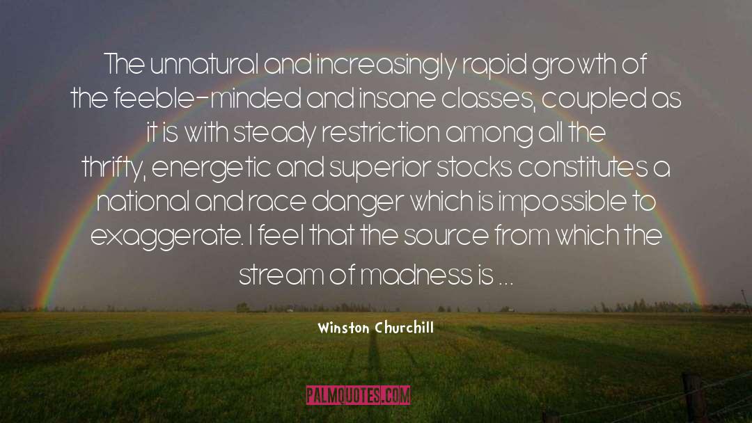 Another Year quotes by Winston Churchill