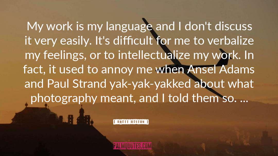 Ansel quotes by Brett Weston