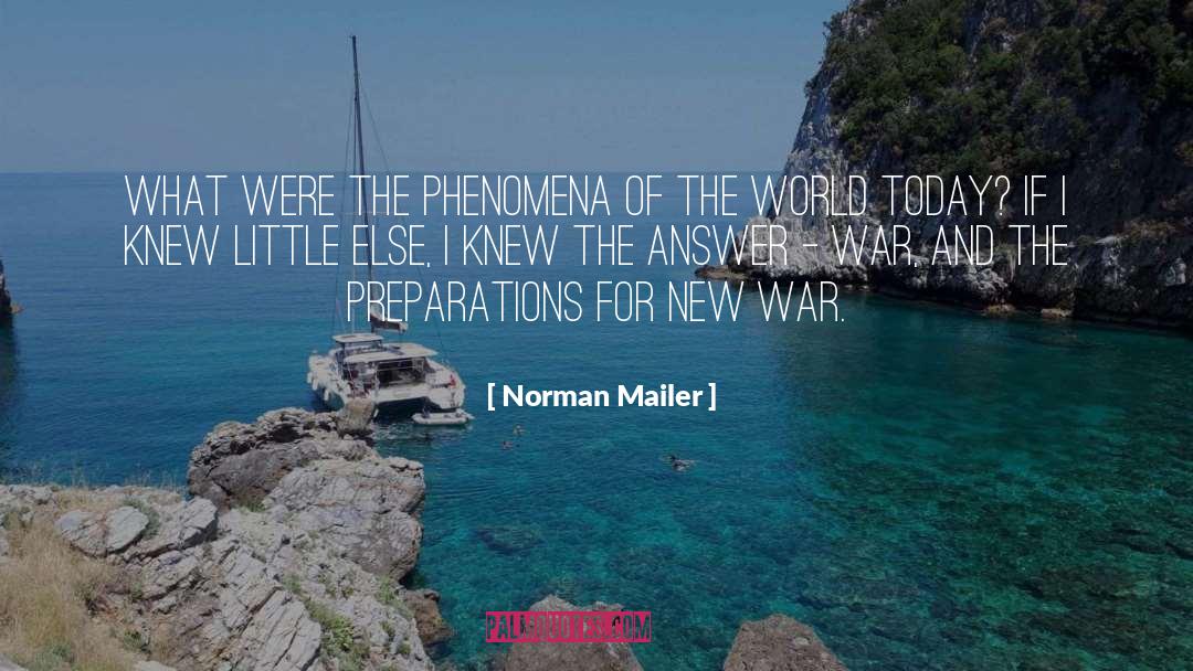 Answer Immediately quotes by Norman Mailer