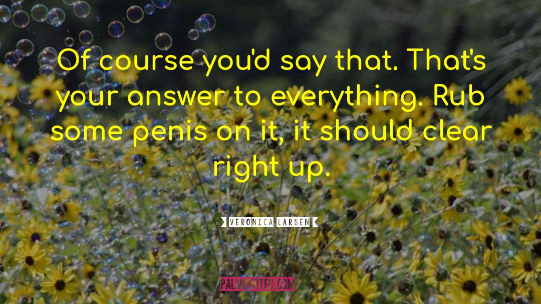 Answer To Everything quotes by Veronica Larsen