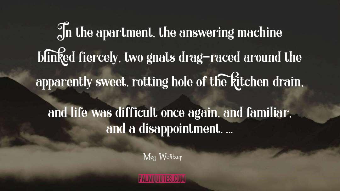 Answering Machine quotes by Meg Wolitzer