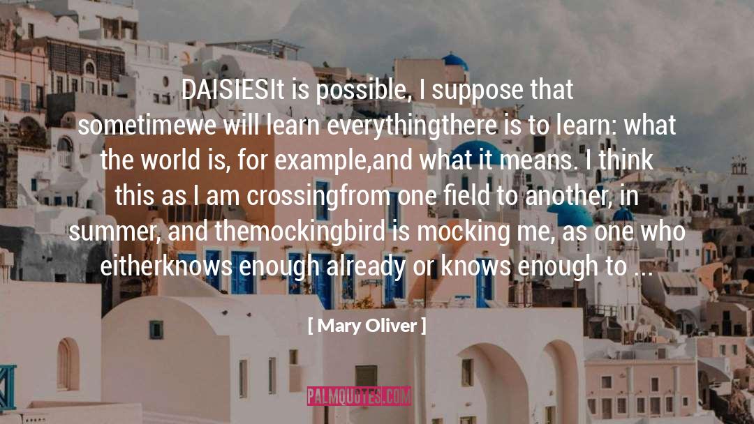Answers quotes by Mary Oliver