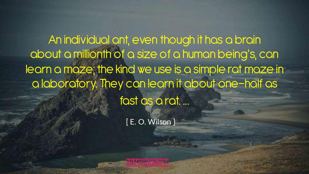Ant Fascist quotes by E. O. Wilson
