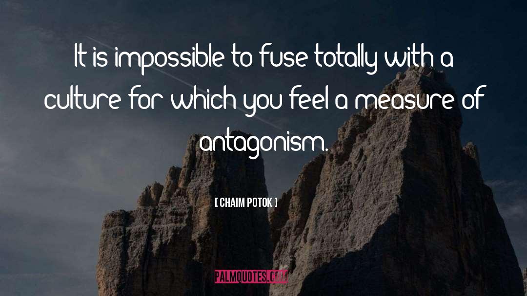 Antagonism quotes by Chaim Potok