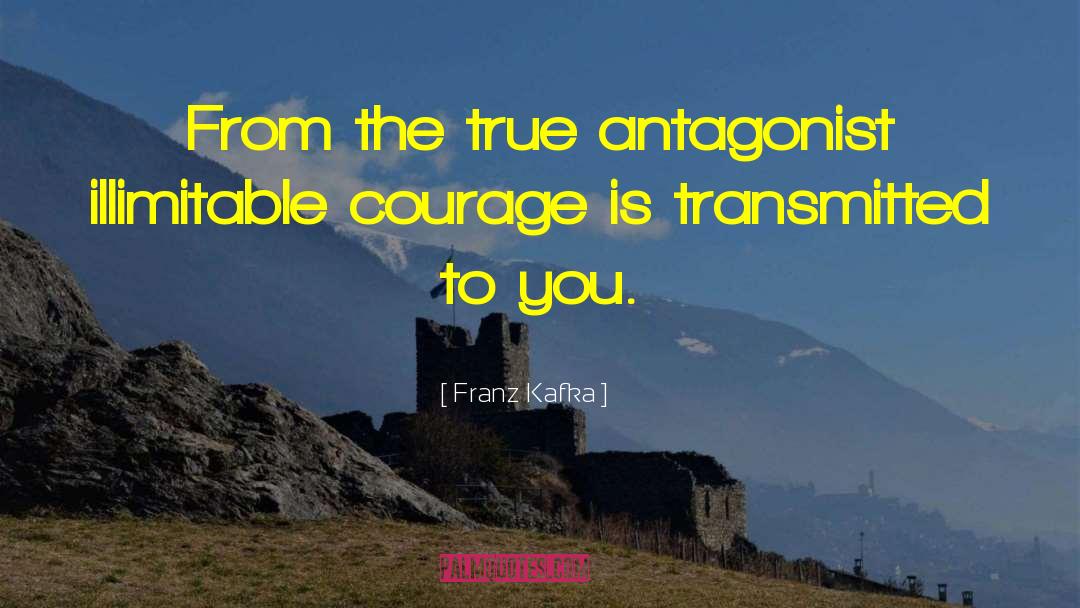 Antagonist quotes by Franz Kafka