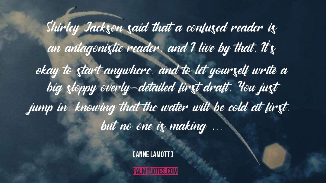 Antagonistic quotes by Anne Lamott