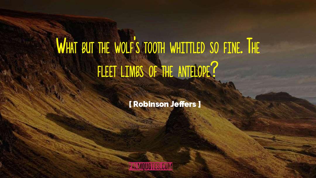 Antelope quotes by Robinson Jeffers