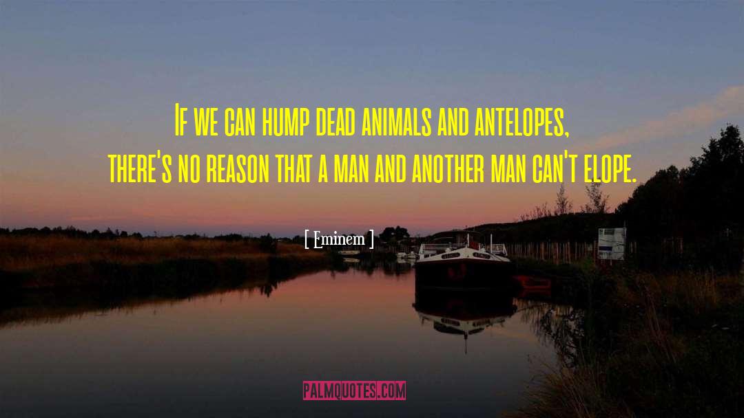 Antelopes quotes by Eminem