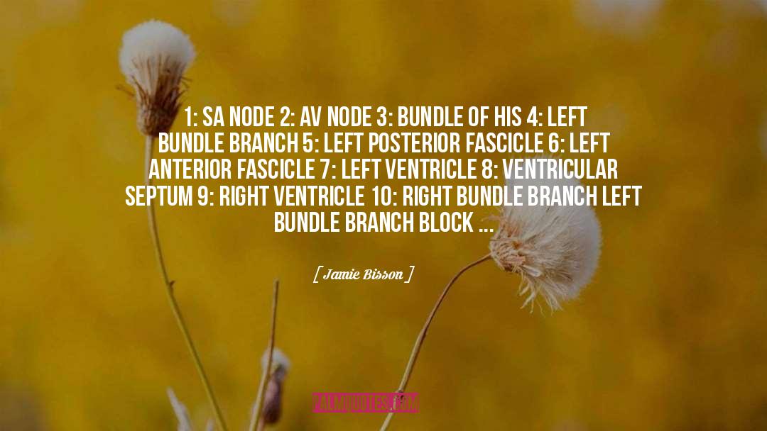 Anterior quotes by Jamie Bisson