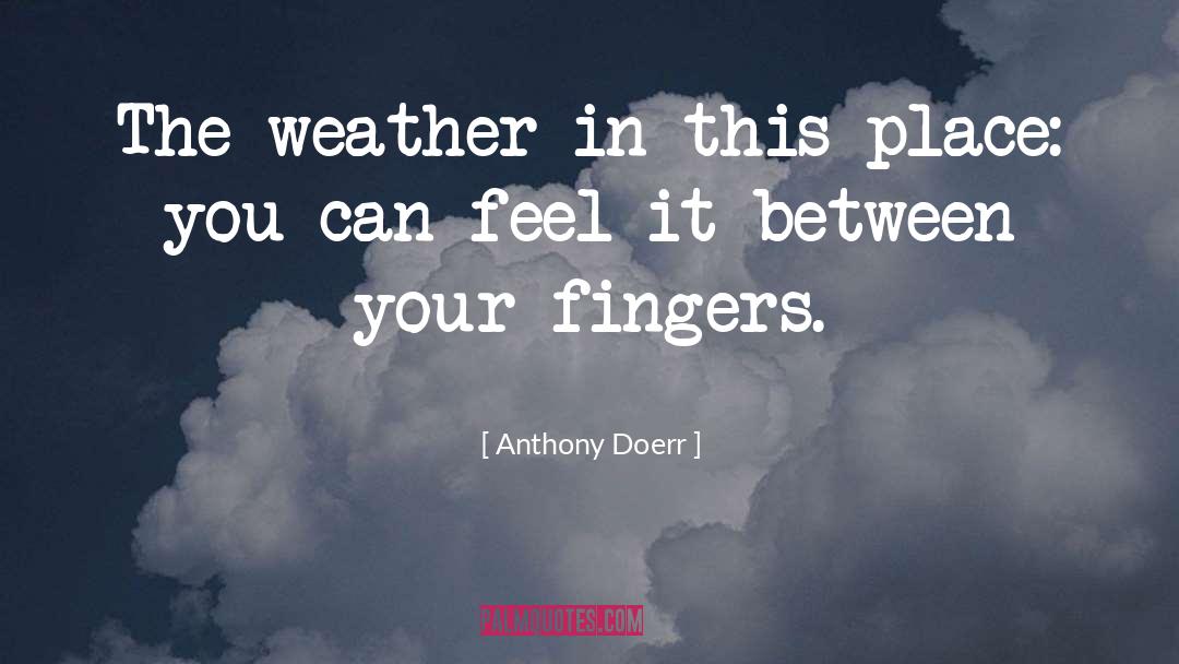Anthony Weiner quotes by Anthony Doerr