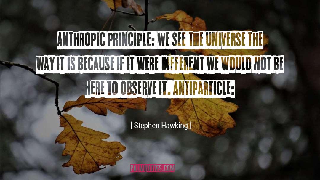 Anthropic Principle Debunked quotes by Stephen Hawking