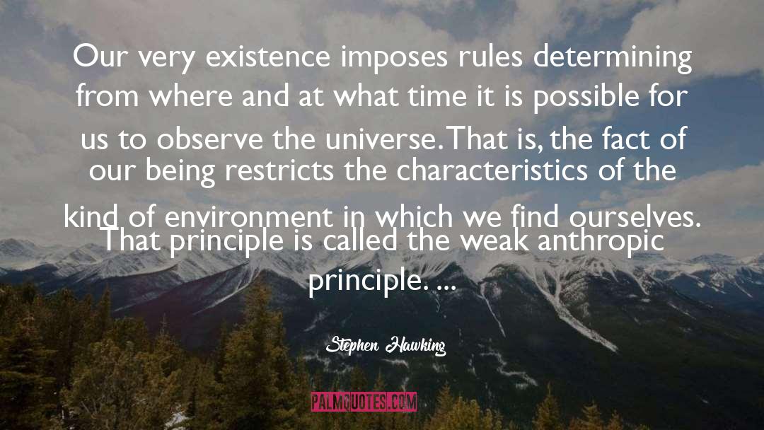 Anthropic Principle quotes by Stephen Hawking