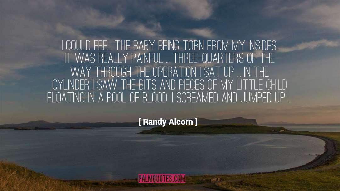 Anti Abortion quotes by Randy Alcorn