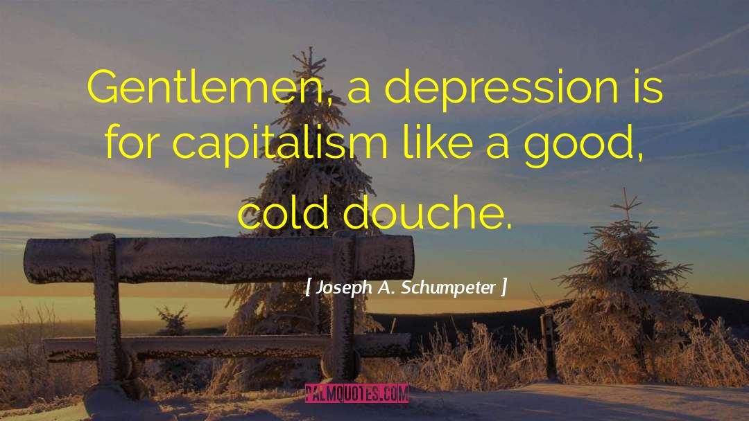 Anti Capitalism quotes by Joseph A. Schumpeter