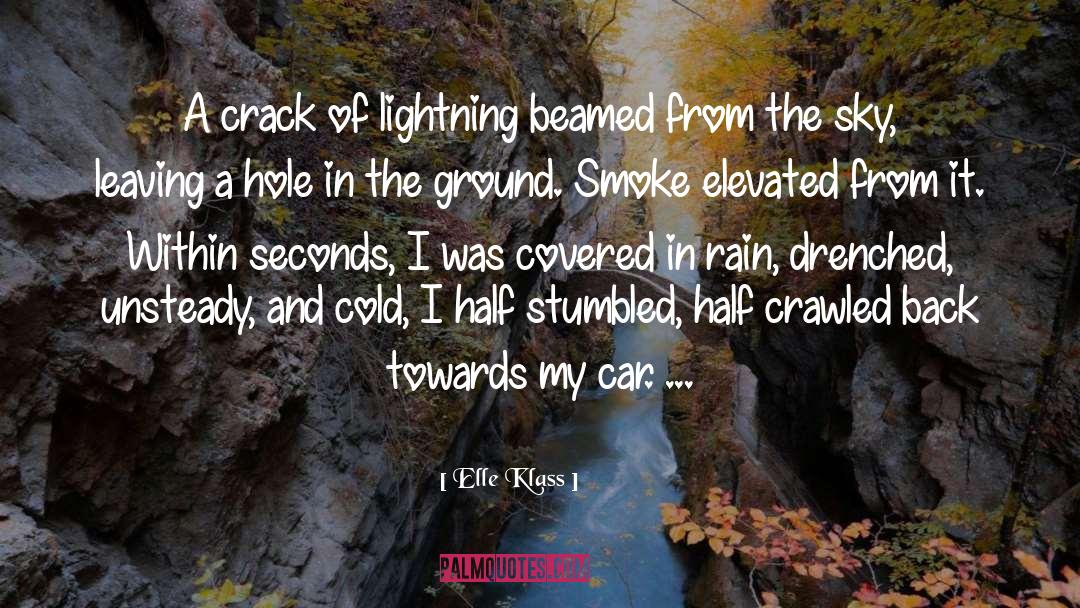 Anti Car quotes by Elle Klass