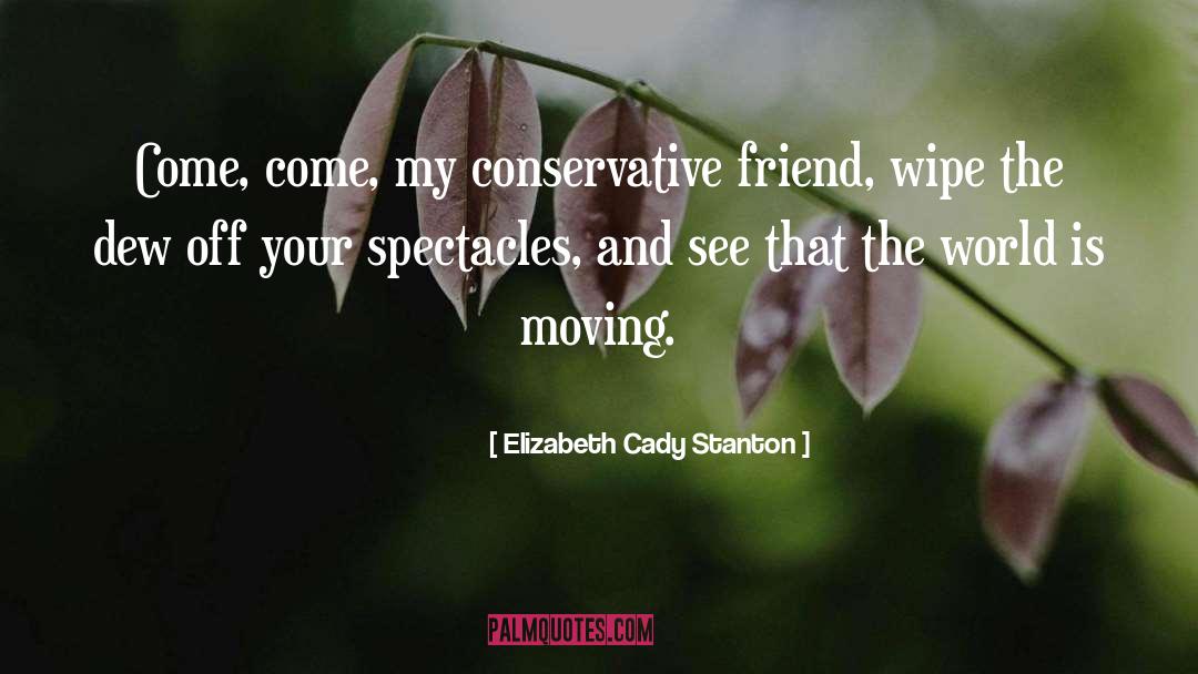 Anti Conservative quotes by Elizabeth Cady Stanton