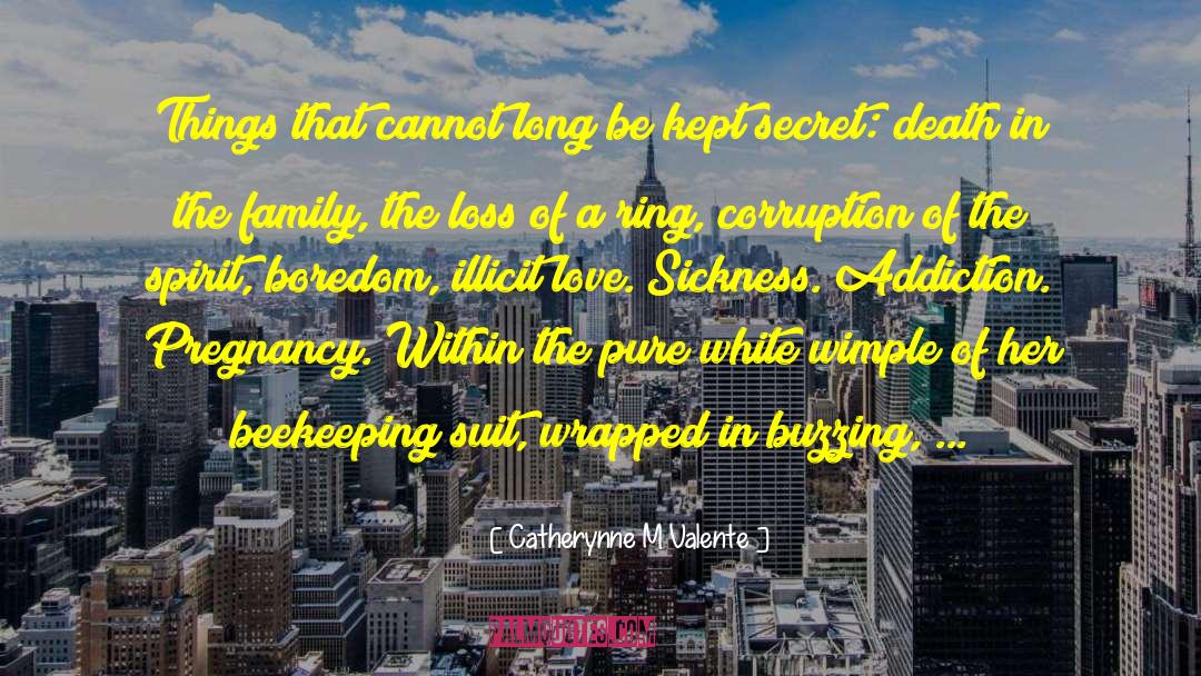 Anti Corruption quotes by Catherynne M Valente