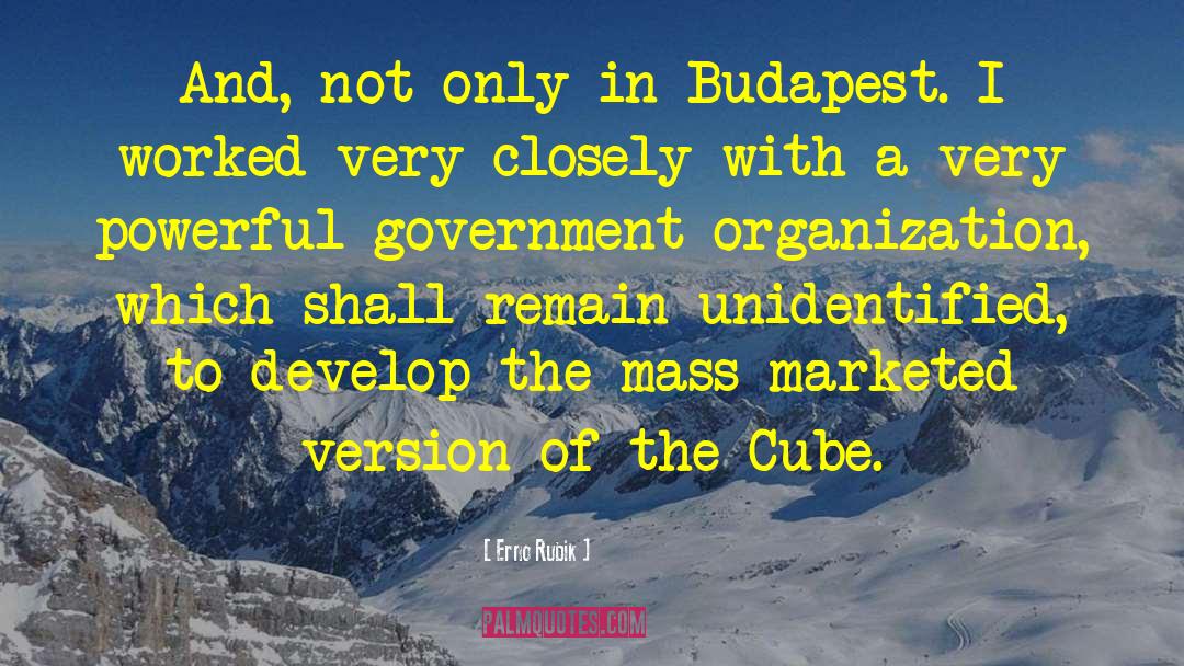 Anti Government quotes by Erno Rubik