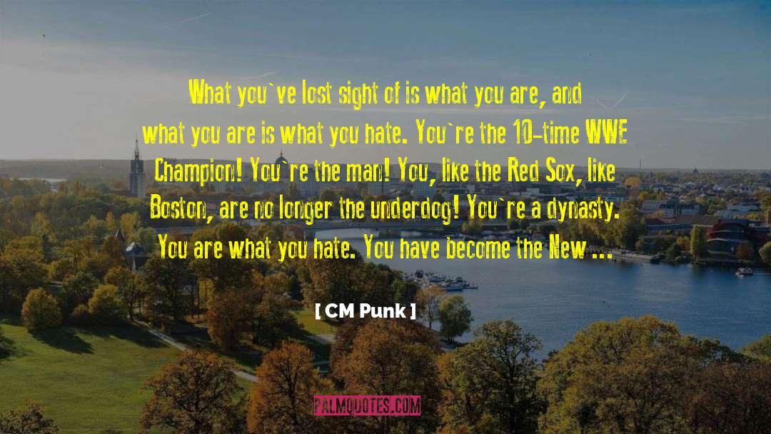 Anti Hate quotes by CM Punk