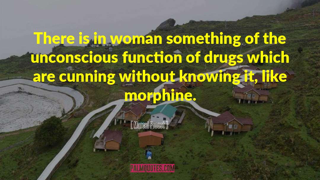 Anti Psychotic Drugs quotes by Marcel Proust