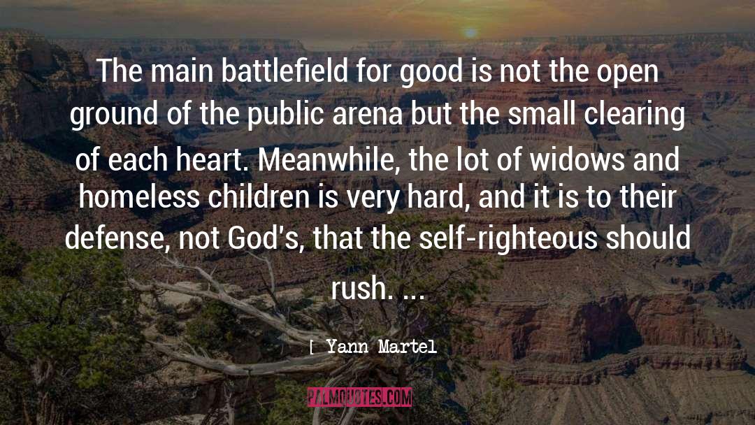 Anti Self Defense quotes by Yann Martel