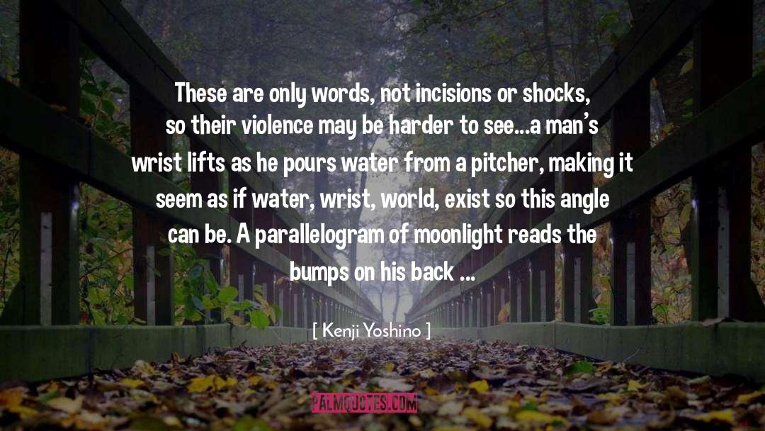 Anti Violence quotes by Kenji Yoshino