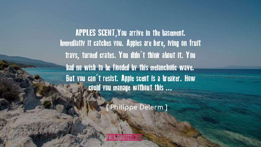 Anti Wrinkle Injections Sydney quotes by Philippe Delerm