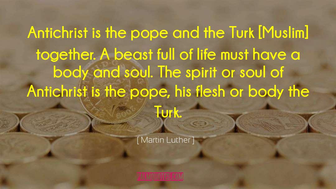 Antichrist quotes by Martin Luther