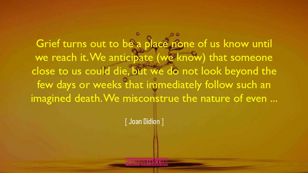 Anticipate quotes by Joan Didion