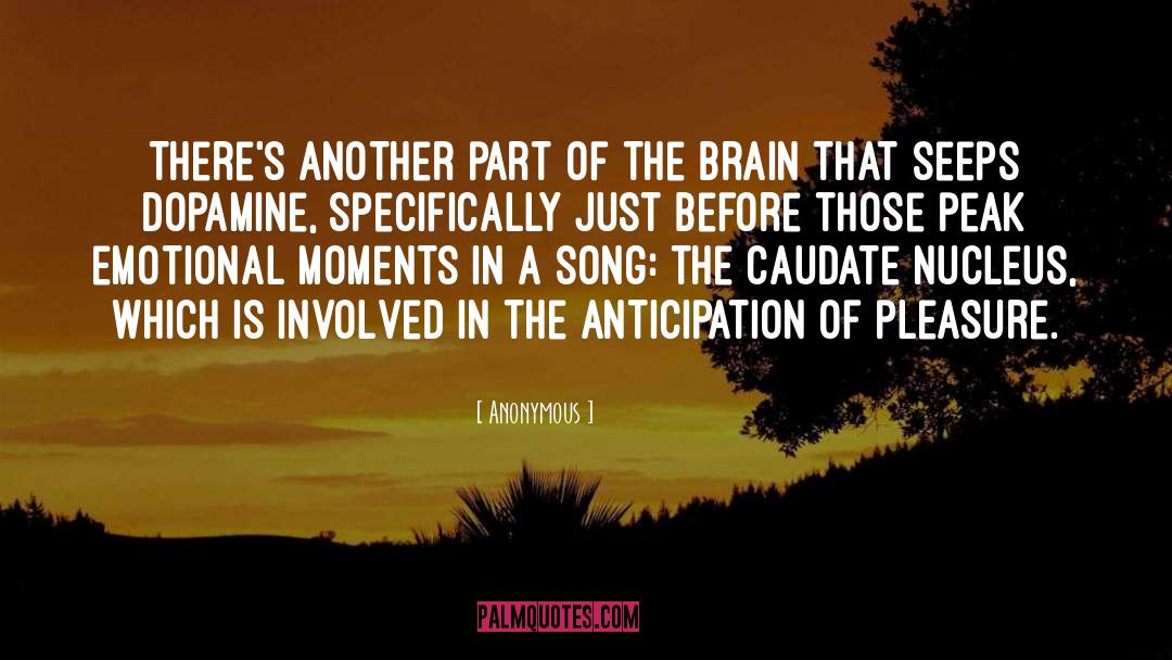 Anticipation quotes by Anonymous