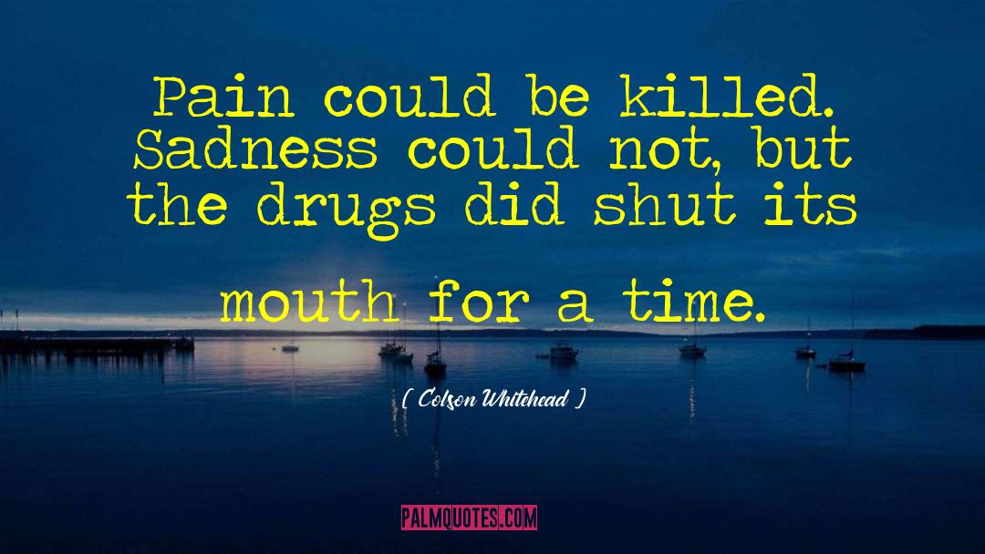 Antidepressants quotes by Colson Whitehead