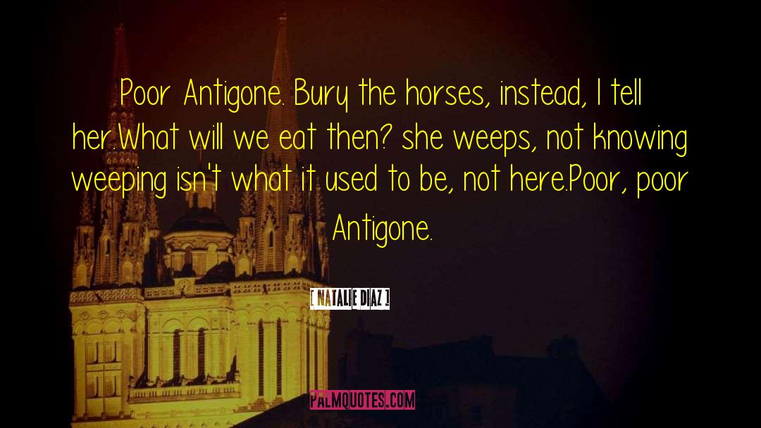 Antigone quotes by Natalie Diaz