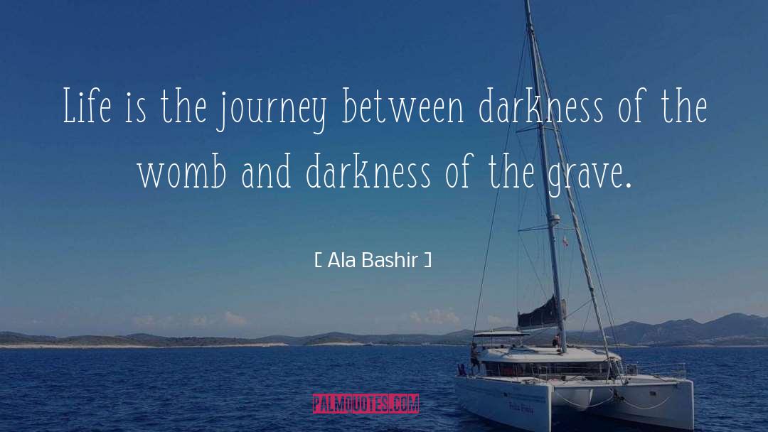 Antiheroes Journey quotes by Ala Bashir
