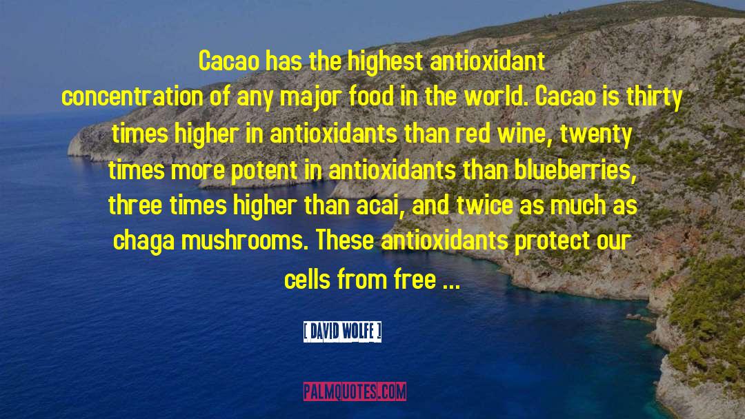 Antioxidants quotes by David Wolfe