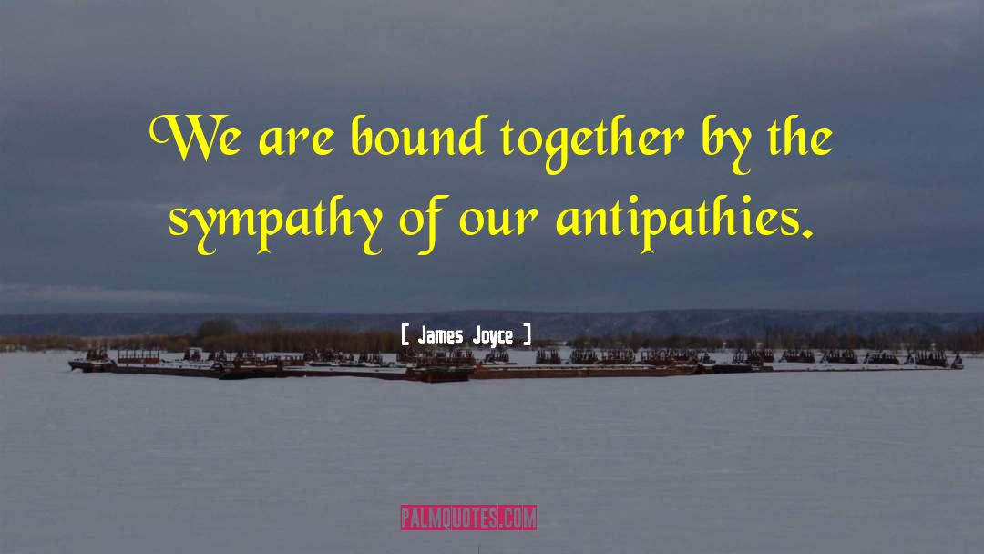 Antipathy quotes by James Joyce