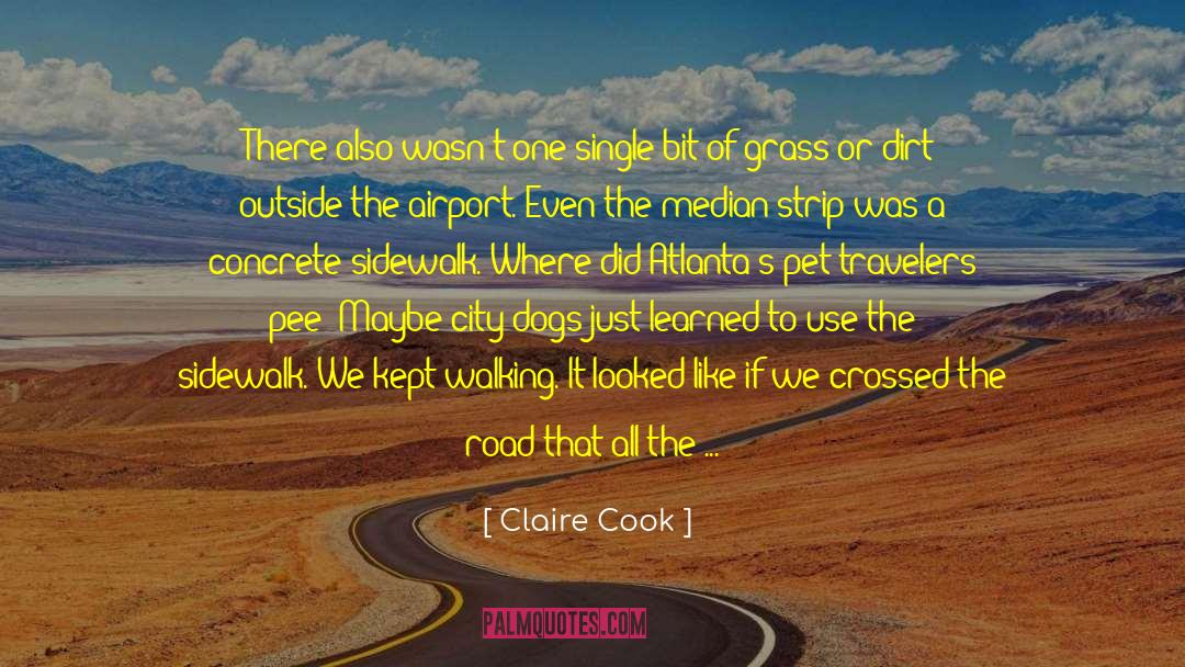 Antique Cars quotes by Claire Cook