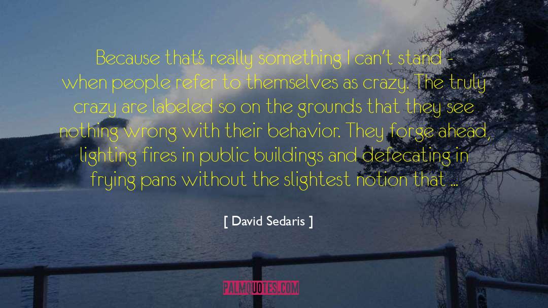 Antisocial Behavior quotes by David Sedaris