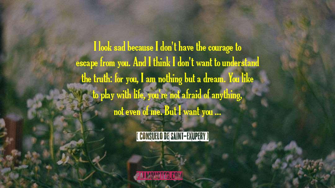 Antoine De Exupery quotes by Consuelo De Saint-Exupery