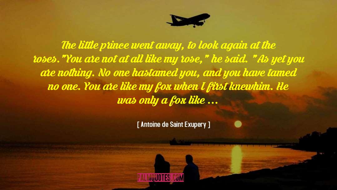 Antoine Fourcroy quotes by Antoine De Saint Exupery