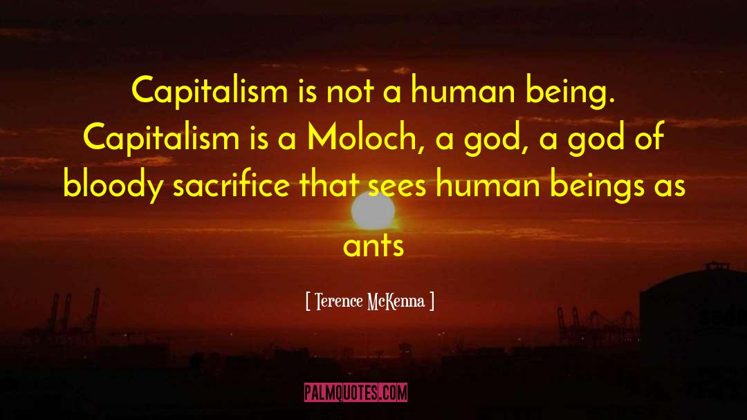 Ants quotes by Terence McKenna