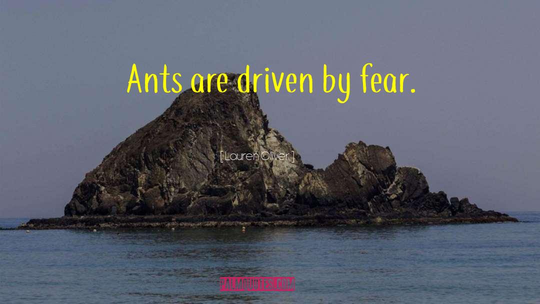 Ants quotes by Lauren Oliver