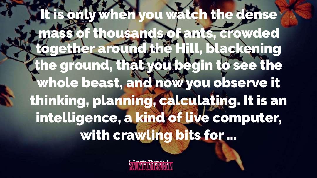 Ants quotes by Lewis Thomas