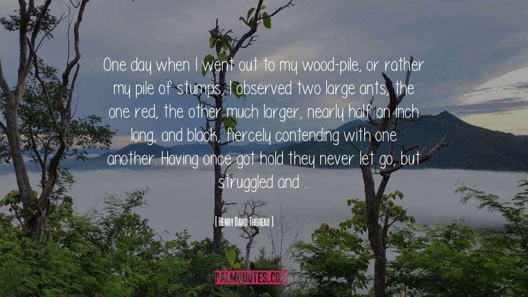 Ants quotes by Henry David Thoreau