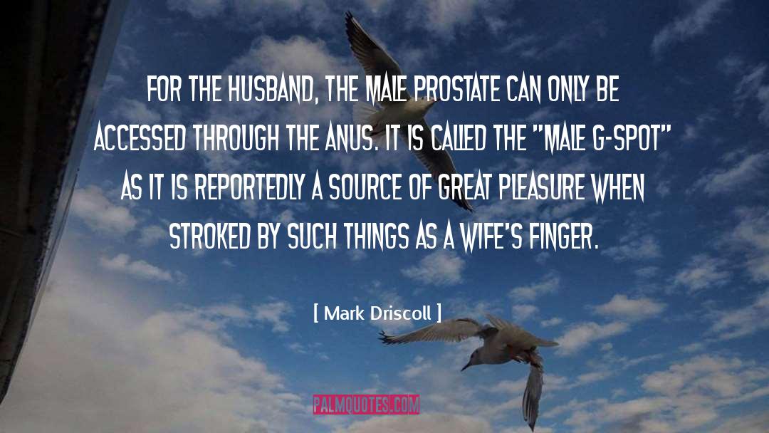 Anus quotes by Mark Driscoll