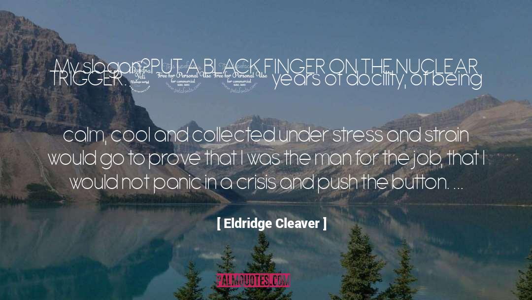 Anxiety And Stress quotes by Eldridge Cleaver