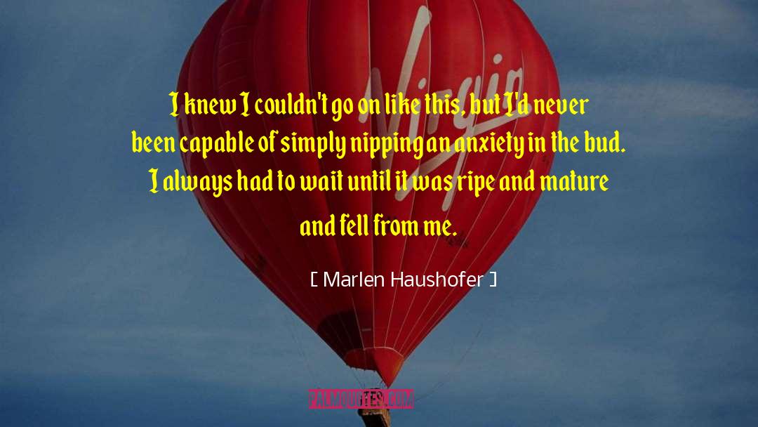 Anxiety And Worry quotes by Marlen Haushofer
