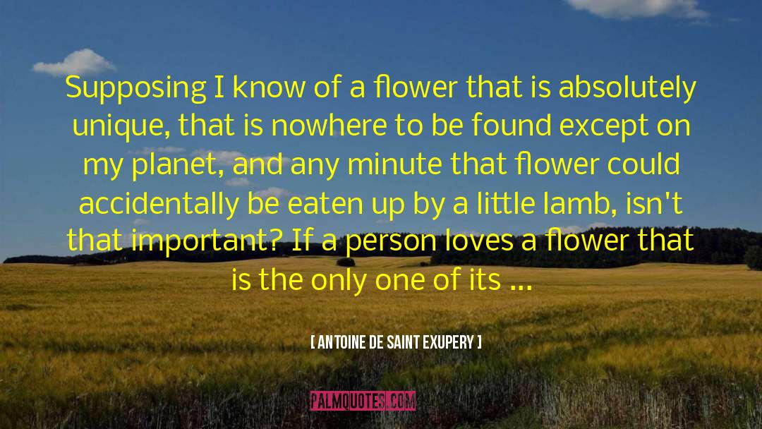 Anybody Out There quotes by Antoine De Saint Exupery