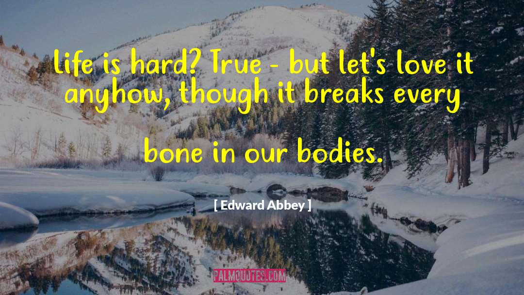 Anyhow quotes by Edward Abbey