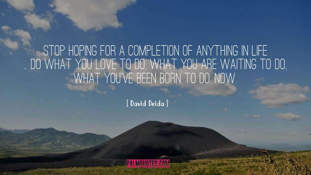 Anything In Life quotes by David Deida