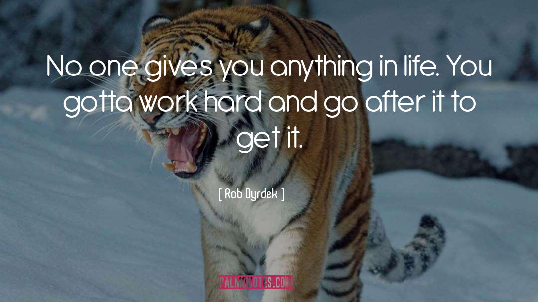 Anything In Life quotes by Rob Dyrdek